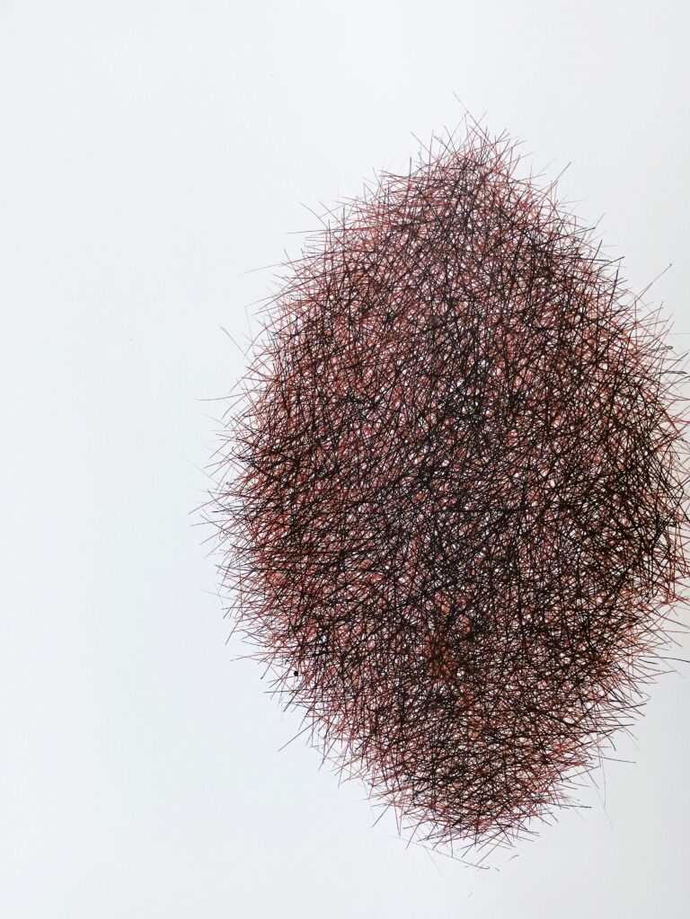 5. crtez tus i pero na papiru 30x42 (3)